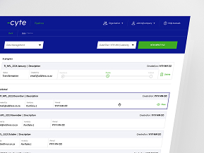 Executive reporting & insights